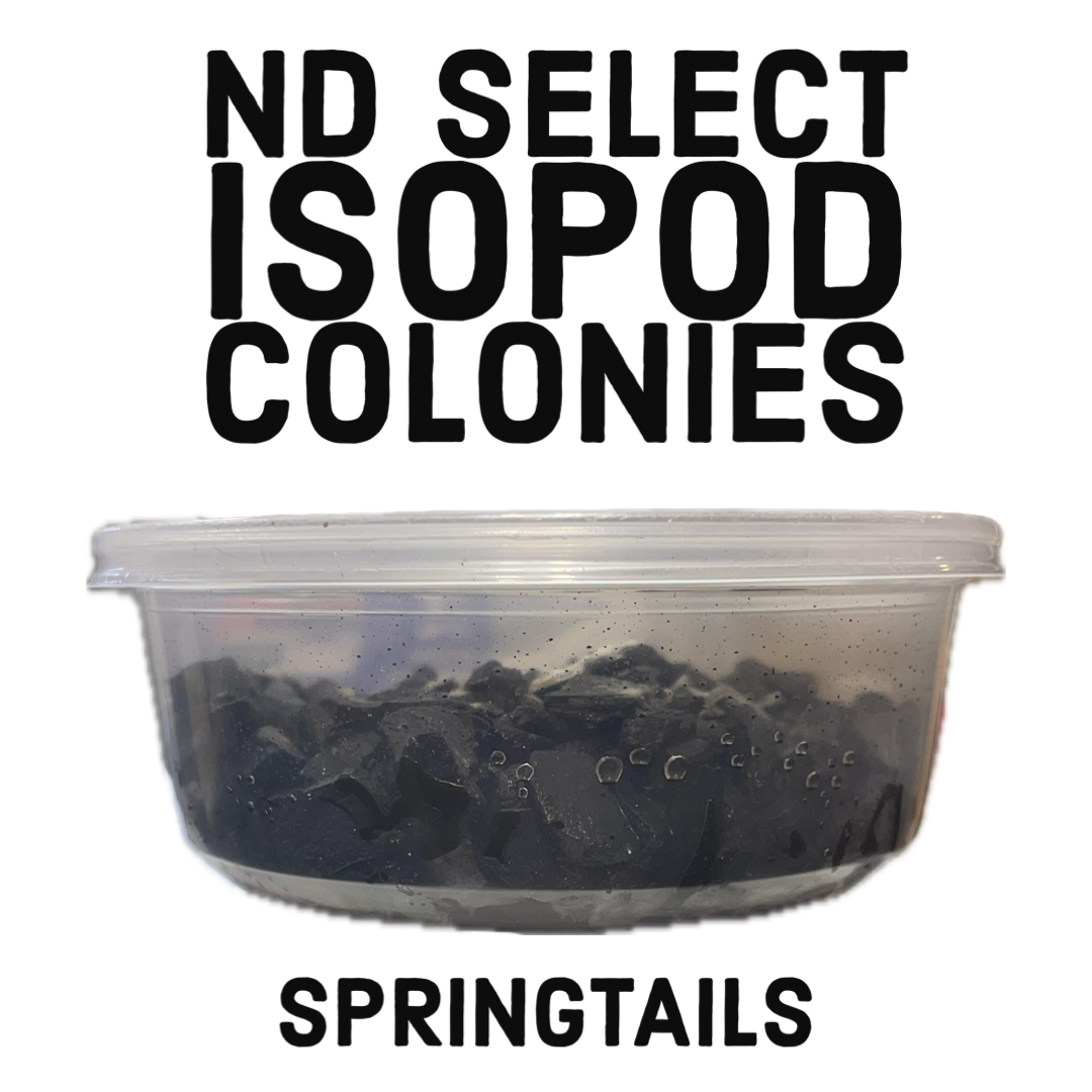 ND Seleccionar colonias de isópodos: colémbolos (Collembola)