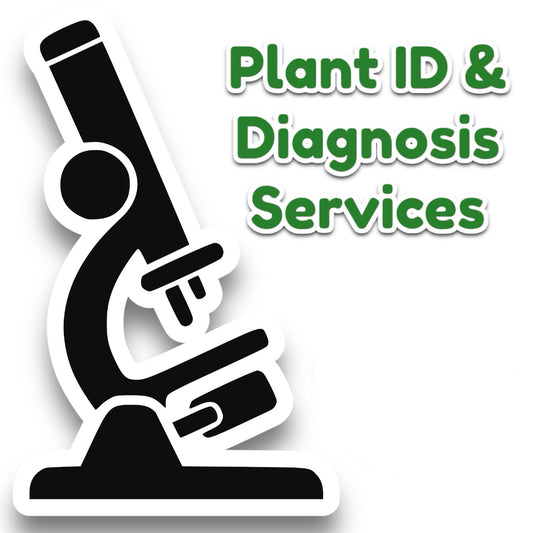 Services d'identification et de diagnostic des installations
