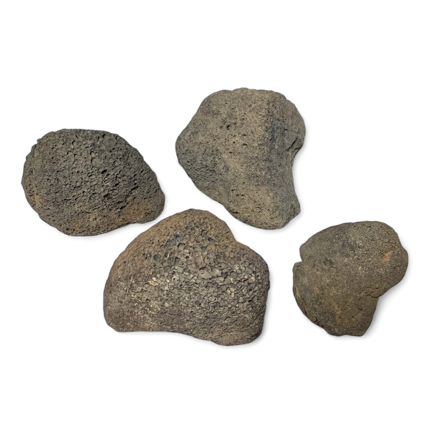 Medium Lava Rock - Scoria (Volcanic Cinder)